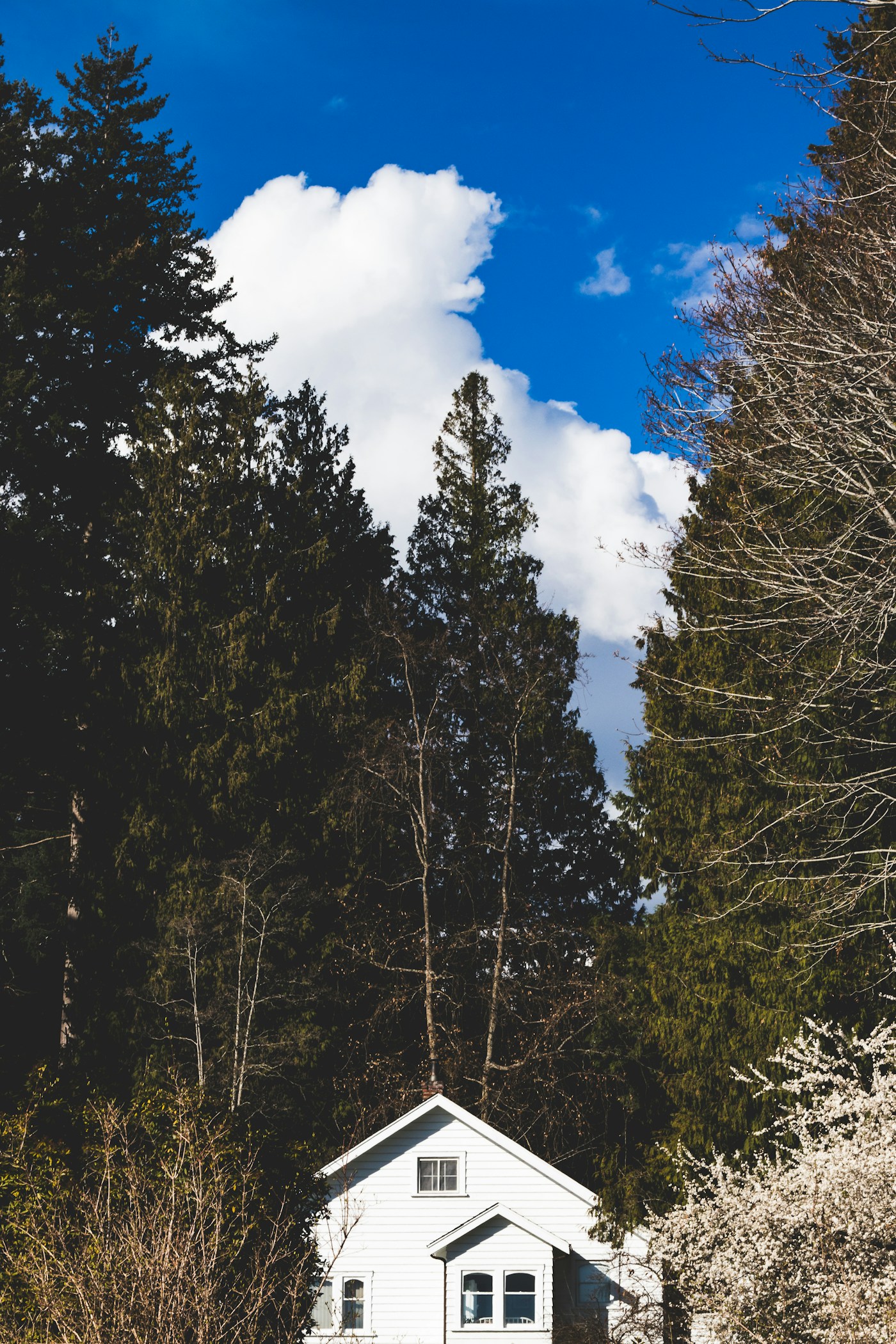 Garden, illustrative photograph